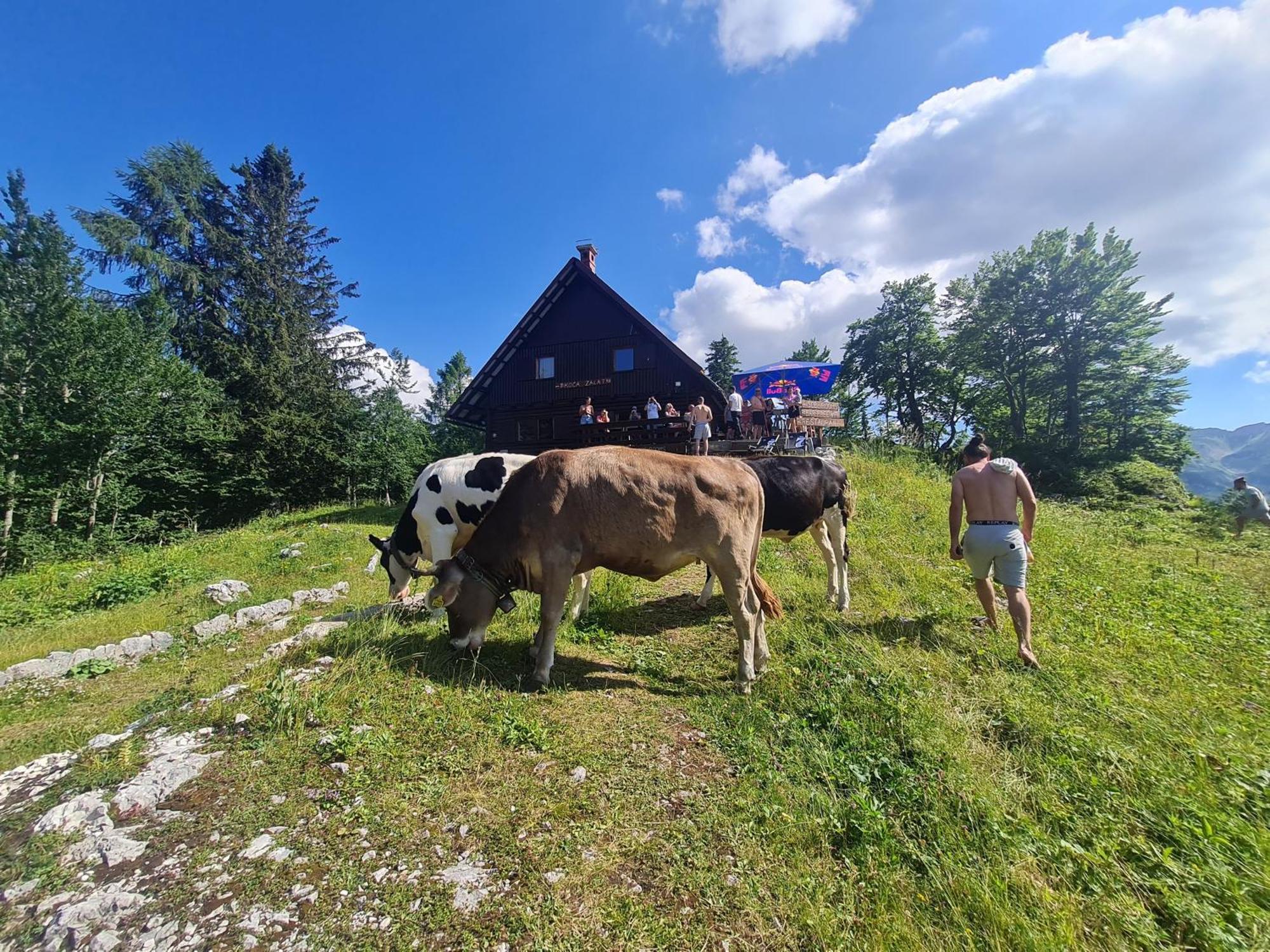 Chalet Burja At Vogel Mountain - Cable Car Access Or Hiking - Not Reachable With Car Bohinj Exterior photo